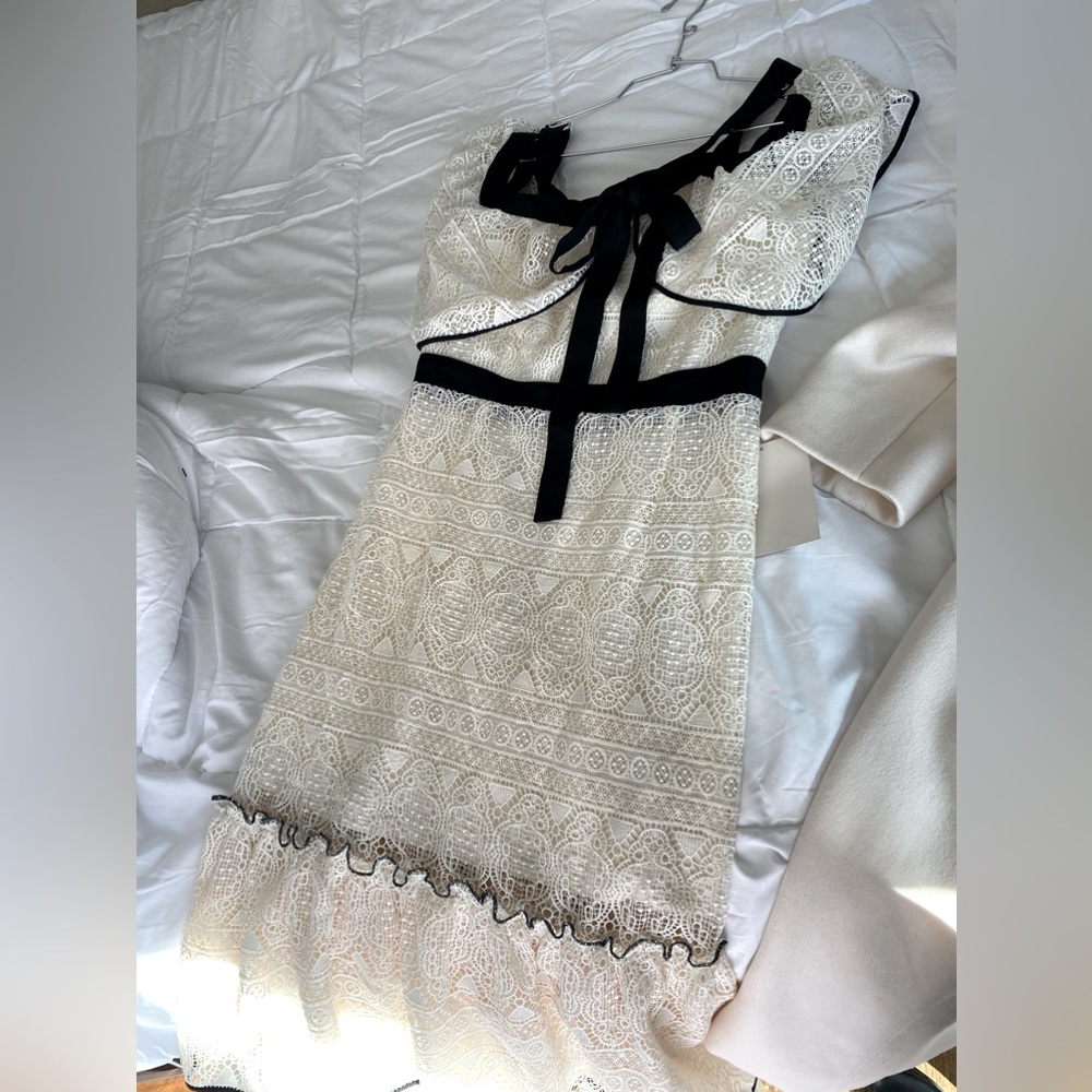 Fabulous Boston Proper lace design cocktail dress. Exquisite.  Feminine.